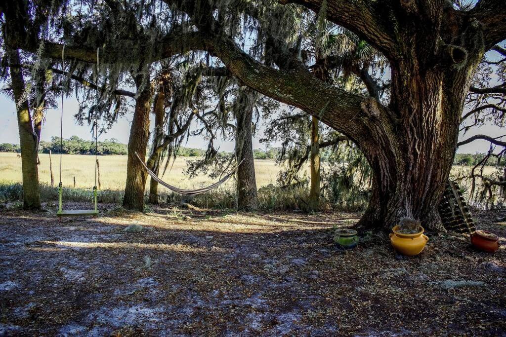 Secluded Tiny House By The Marsh With Hunting Island Beach Pass Frogmore Exterior foto